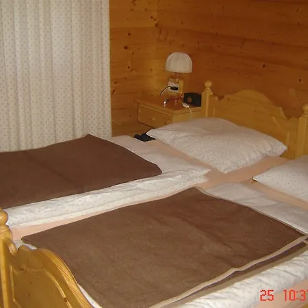 维西纳公寓 公寓 Turracher Hohe