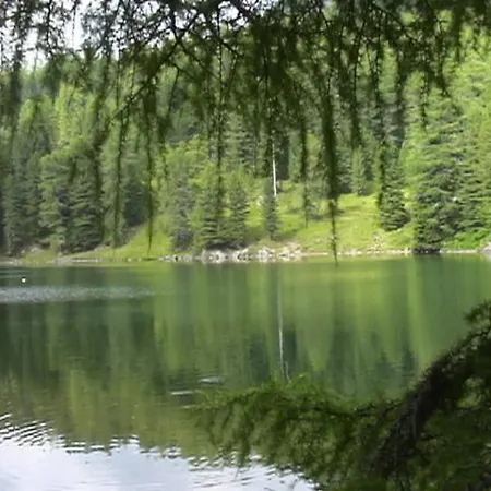 维西纳公寓 公寓 Turracher Hohe